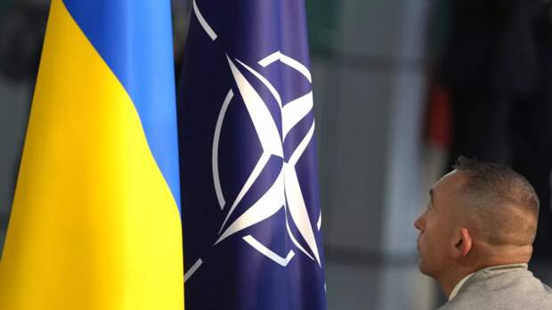 Премьер Польши: на Украине есть солдаты НАТО, без помощи альянса ВСУ бы не выдержали
