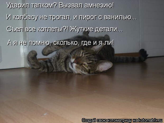 kotomatritsa_G (640x480, 141Kb)