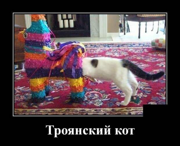 Демотиваторы от Водяной за 15 мая 2019 Каламбур, демотиваторы, животные, коты, юмор