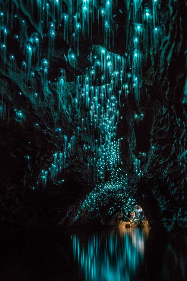 Вайтомо - пещеры светлячков в Новой Зеландии. Фото