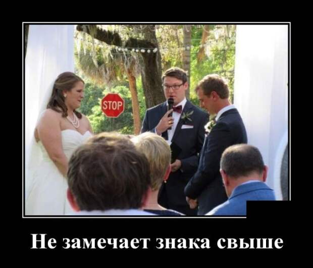 Демотиваторы (30 фото)
