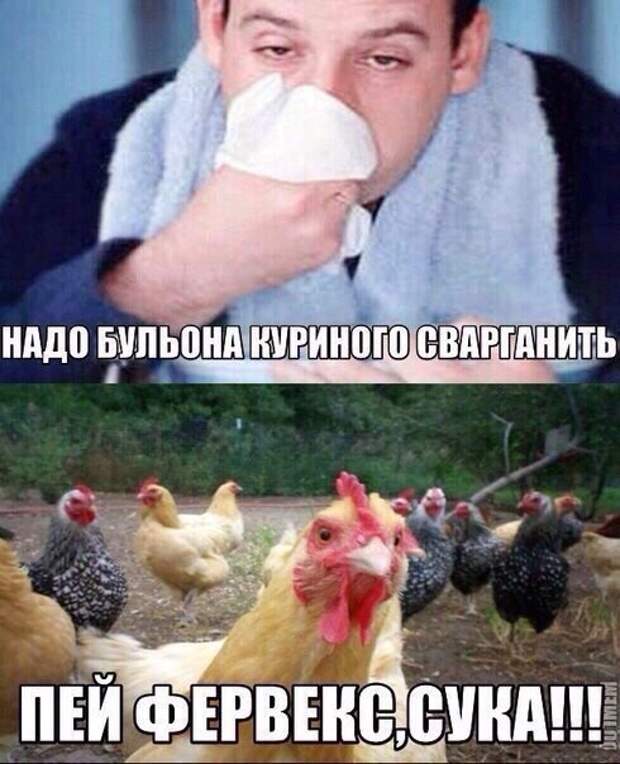 4 картинки с надписями, комментарии, смс, юмор