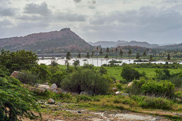 Упавший с холма турист два дня выживал среди диких животных, дополз до фермы и был спасен