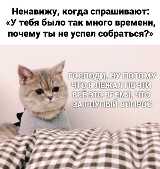 Действительно, это же элементарно Действительно, это же элементарно