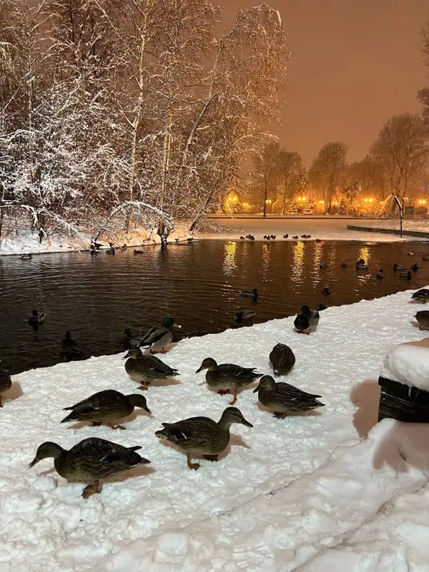 ������ � ���������� � �������������� ���.