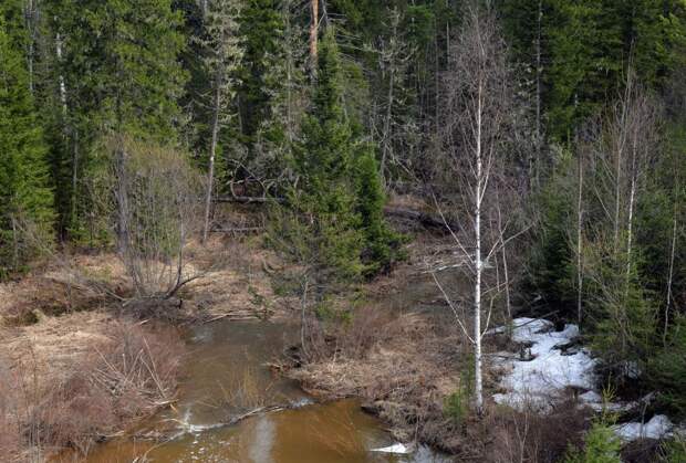 Вульферт: поиски пропавшей семьи Усольцевых будут эффективнее после схода снега