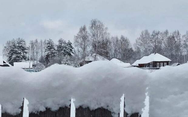 "7 дней нет электричества": рязанские деревни остаются без света после снегопада