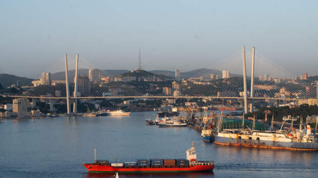 Во Владивостоке арестовали иностранное судно, повредившее российский сейнер