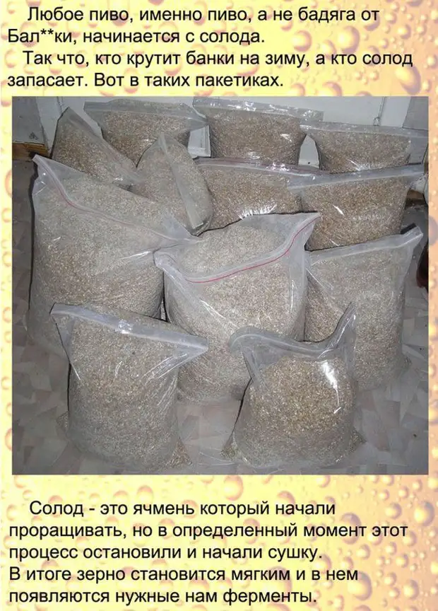 Рецепт настоящего домашнего пива - Четыре вкуса - Медиаплатформа МирТесен