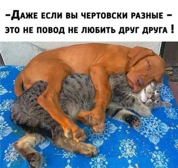 Это любовь )