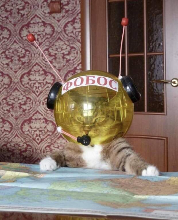 www.vsyako.net
