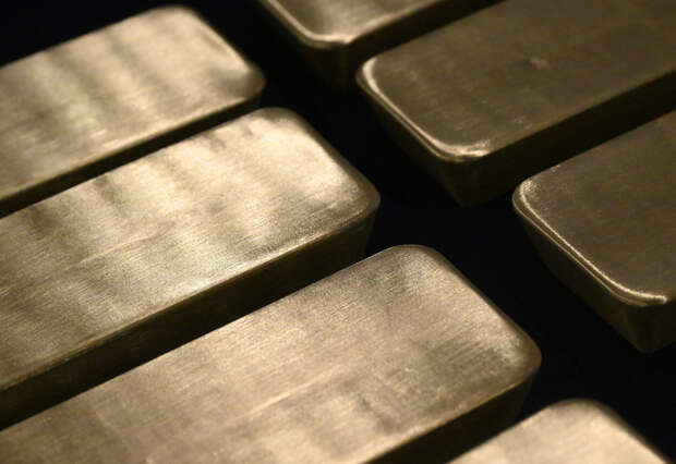 В российском регионе сотрудники ДПС обнаружили у водителя золота 18 золотых слитков