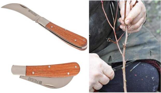 Складной садовый нож PALISAD с изогнутым лезвием и деревянной рукояткой. Такой нож идеален для заготовки черенков