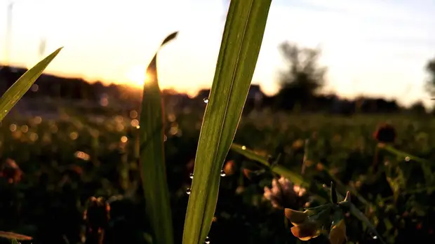 Синоптик Шепоренко предупредила о резком похолодании в Екатеринбурге 1 мая