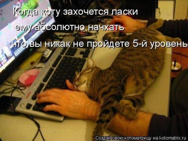 Мысли вслух :)