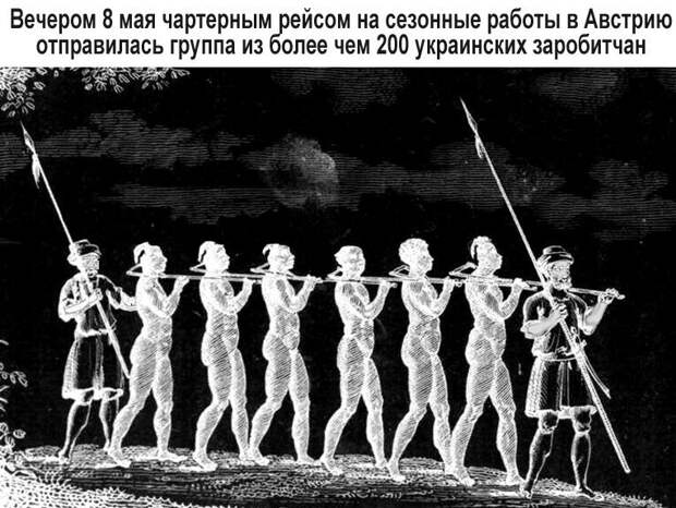 Политические комментарии из инета