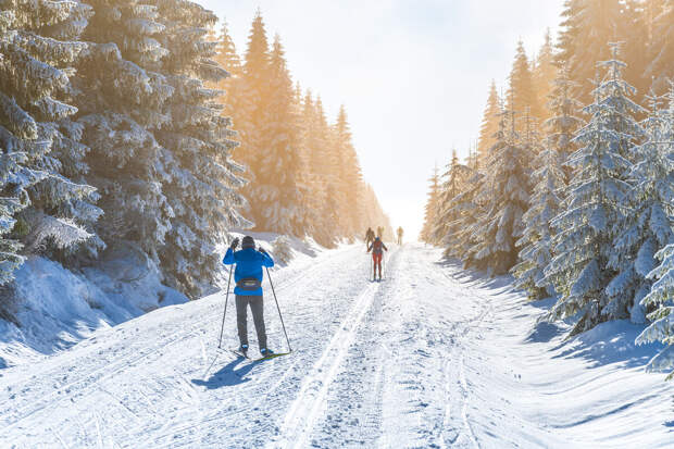 Тренер сборной России Бородавко обвинил норвежцев в отстранении