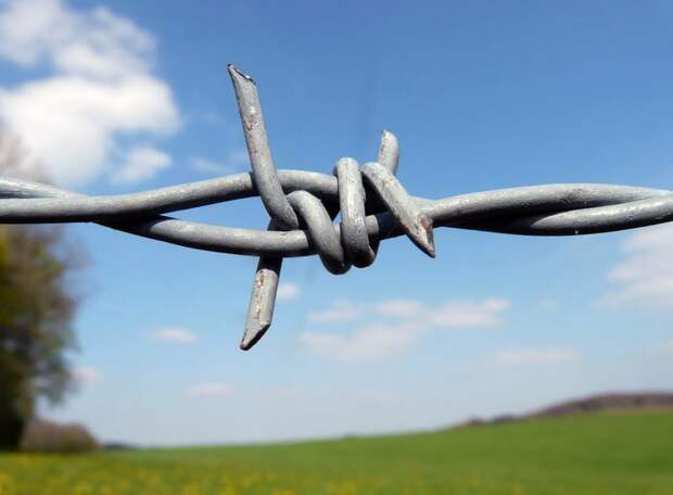 Жовто-блакитные принудительно переселят неугодных и будут брать в плен россиян – в Раду поступил новый законопроект