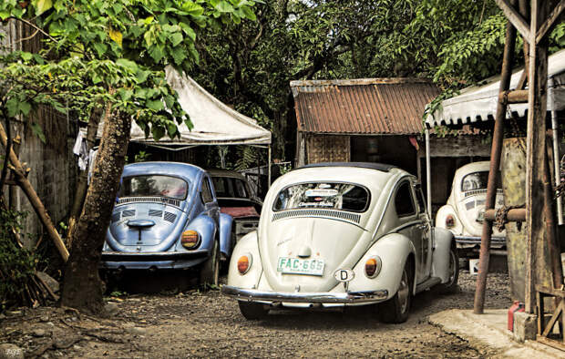 Volkswagen Жук.
