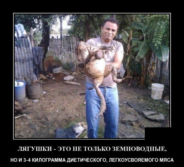 www.vsyako.net