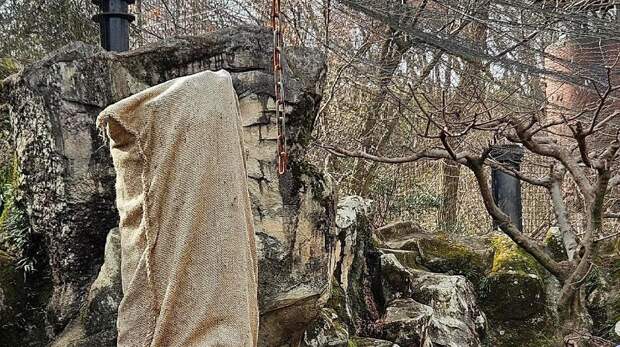 Головоломка: найдите на фотографии снежного барса