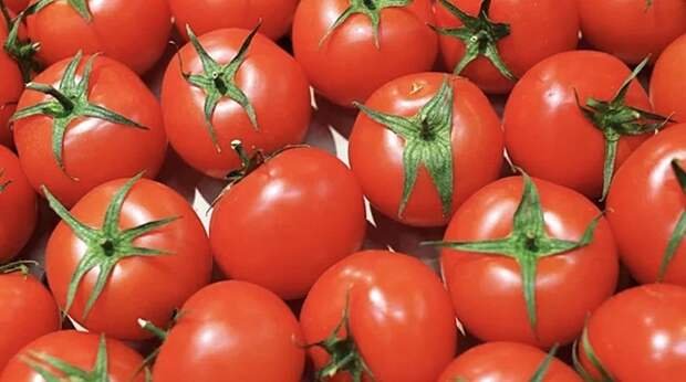 Турция "заваливает" Россию овощами и фруктами, извлекая из этого максимум прибыли: Анкара перехватила момент и делает деньги