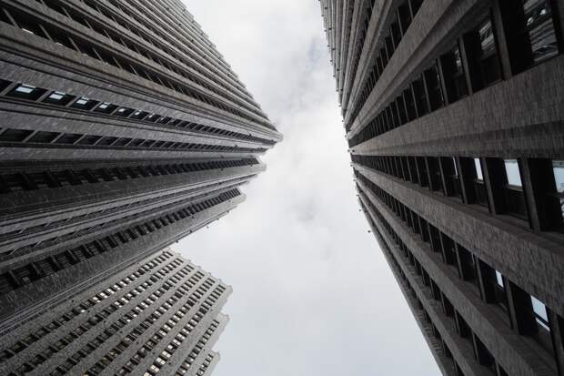 Россияне устремились ввысь