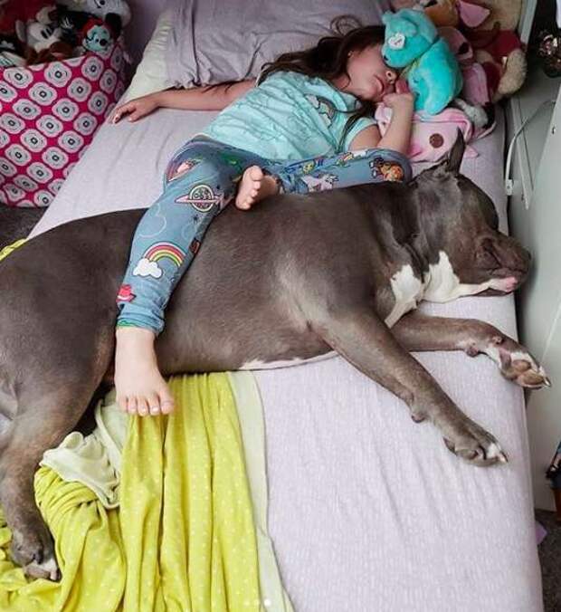 девочка спит с псом