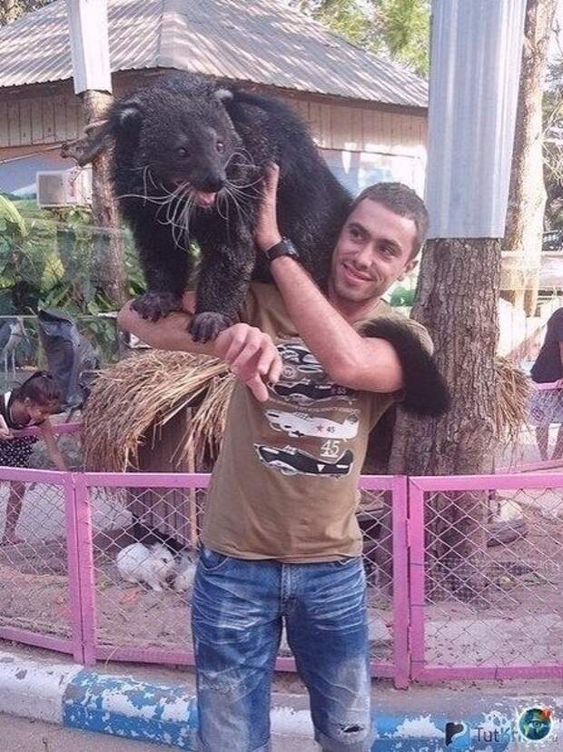 2861206628 (447x597, 250Kb)