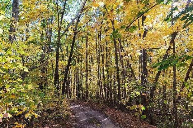 В Тамбовской области подписано распоряжение о подготовке к пожароопасному сезону