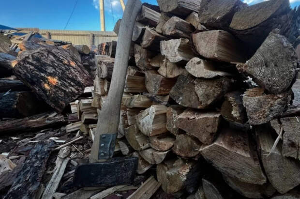 В Эстонии возник дефицит дров из-за продолжительных морозов