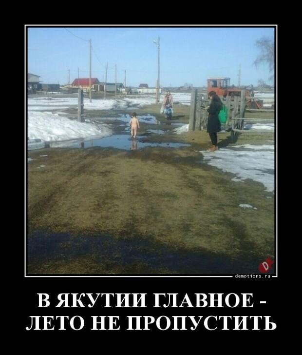 Демотиваторы-приколы (17 фото)