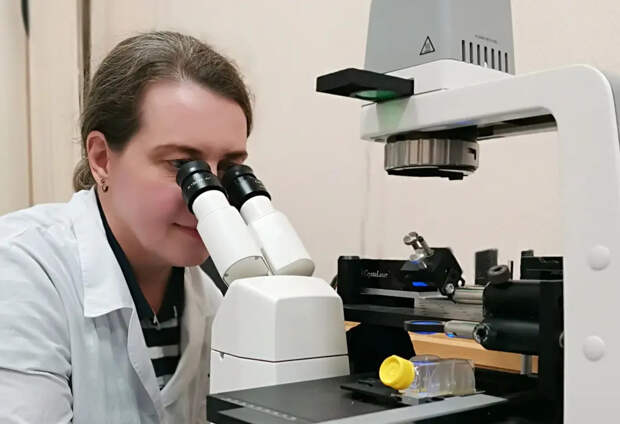 Сибирские ученые создают оптический метод диагностики заболеваний ЖКТ