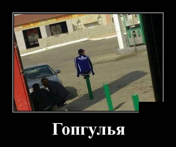 Демотиваторы (30 фото)