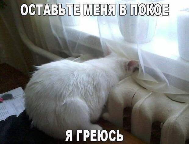 2860453400 (604x462, 118Kb)