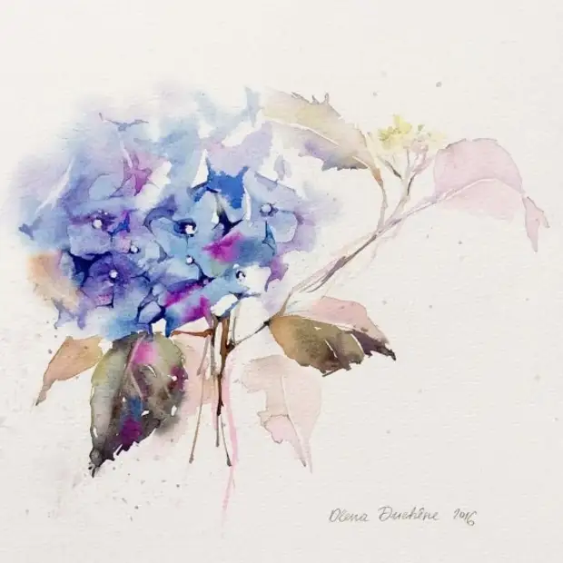 �������� Olena Duchene (����� �����) ������� � 18