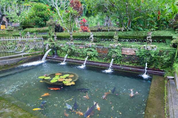 Россиянин заразился опасной инфекцией в священном источнике на Бали