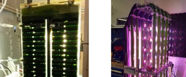 Фотобиореактор позволит сильно сэкономить на пище и кислороде для космонавтов на Луне