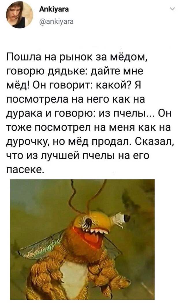 Маркетингпорн Маркетингпорн