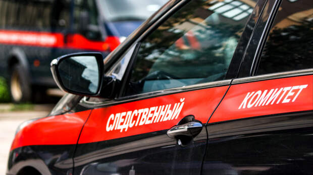 Похищенную в Смоленске девятилетнюю девочку вернули матери