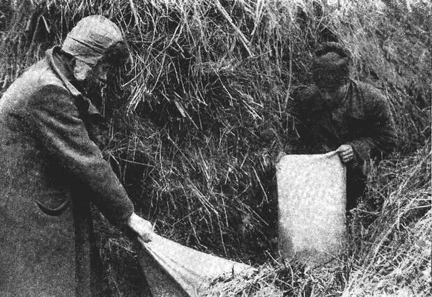 Историк Спицын о том, зачем ОГПУ конфисковывало и сжигало зерно в голод 1932-33 годов?