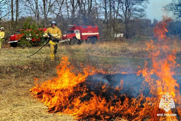 Смоленщина попала в топ-100 регионов с самыми горящими торфяниками