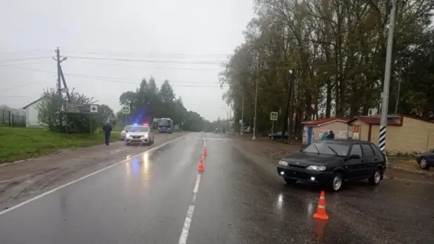 Мэр Ржева подал заявку на награждение подростка, спасшего девочку на дороге