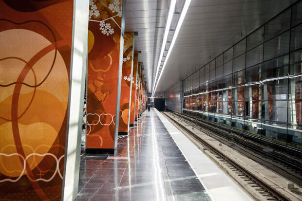 Станция метро «Мичуринский проспект»
