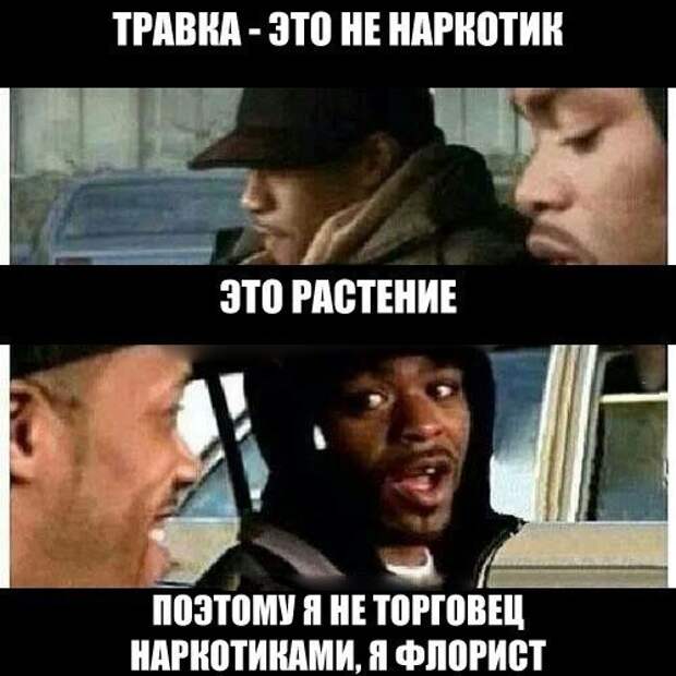 Смешные картинки с надписями для настроения (10 фото) Смешные картинки с надписями для настроения (10 фото)