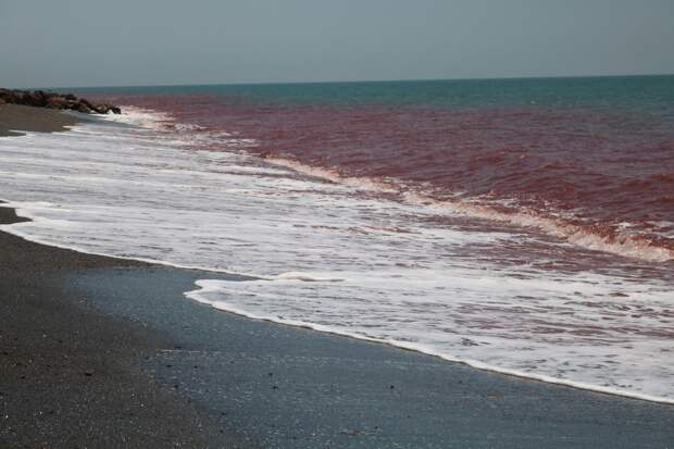 Иран обвинили в удержании мировой экономики в заложниках