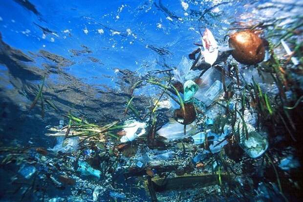 Мусорный остров в Тихом океане мусор, свалка, экология