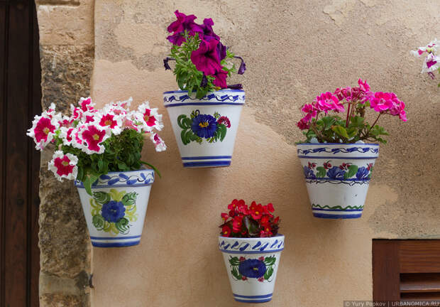 9: Город тысячи цветочных горшков