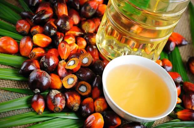 Зачем нужно пальмовое масло?