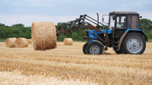 Аграрии Смоленской области получили от правительства 1,5 миллиарда рублей